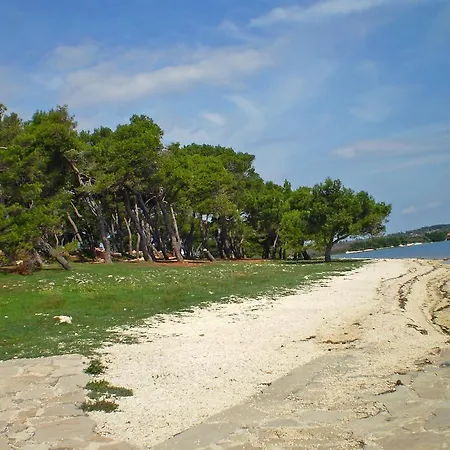 Holiday Kirac بولا