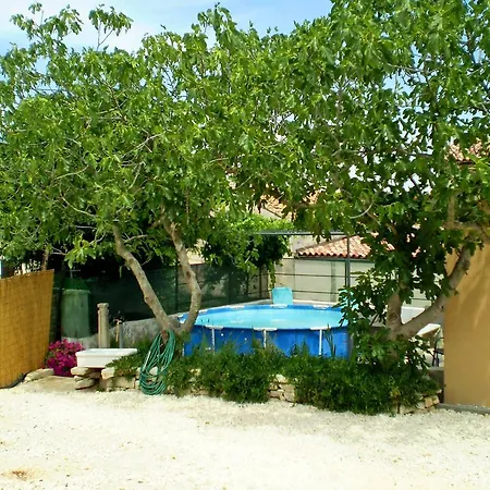 Holiday Kirac بولا